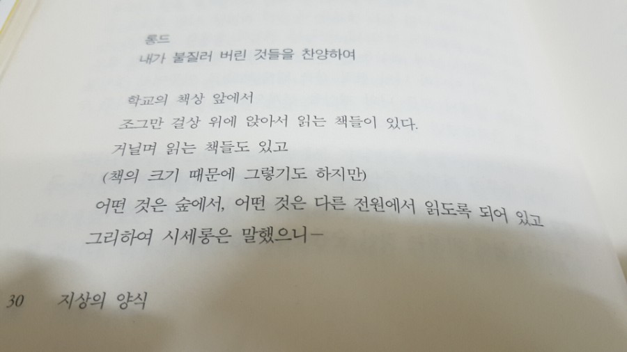지상의양식 이미지