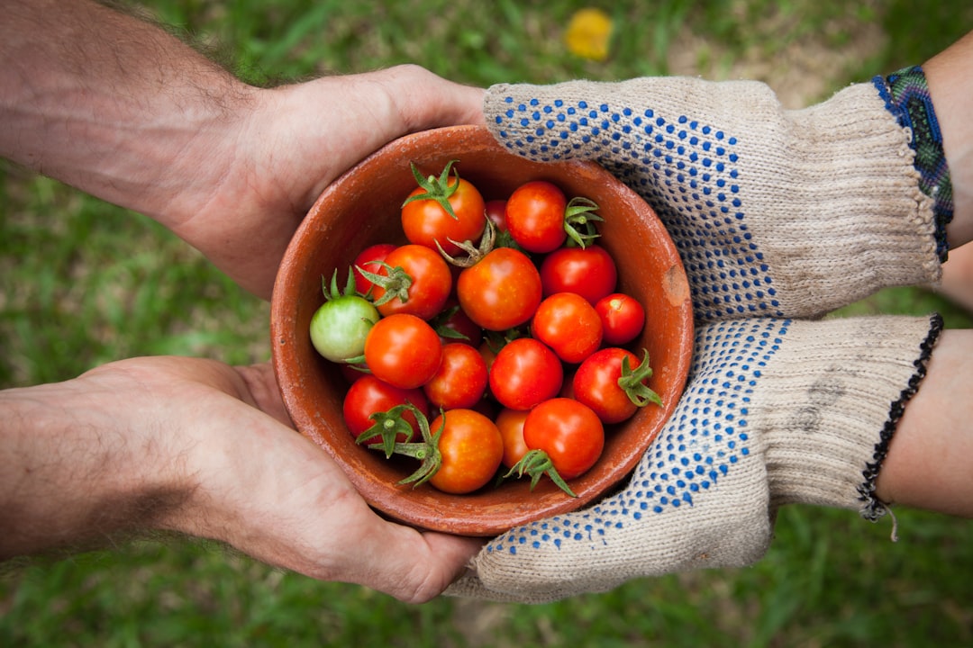 Harvest.