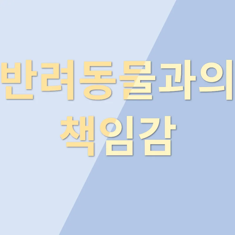 반려동물 입양_3
