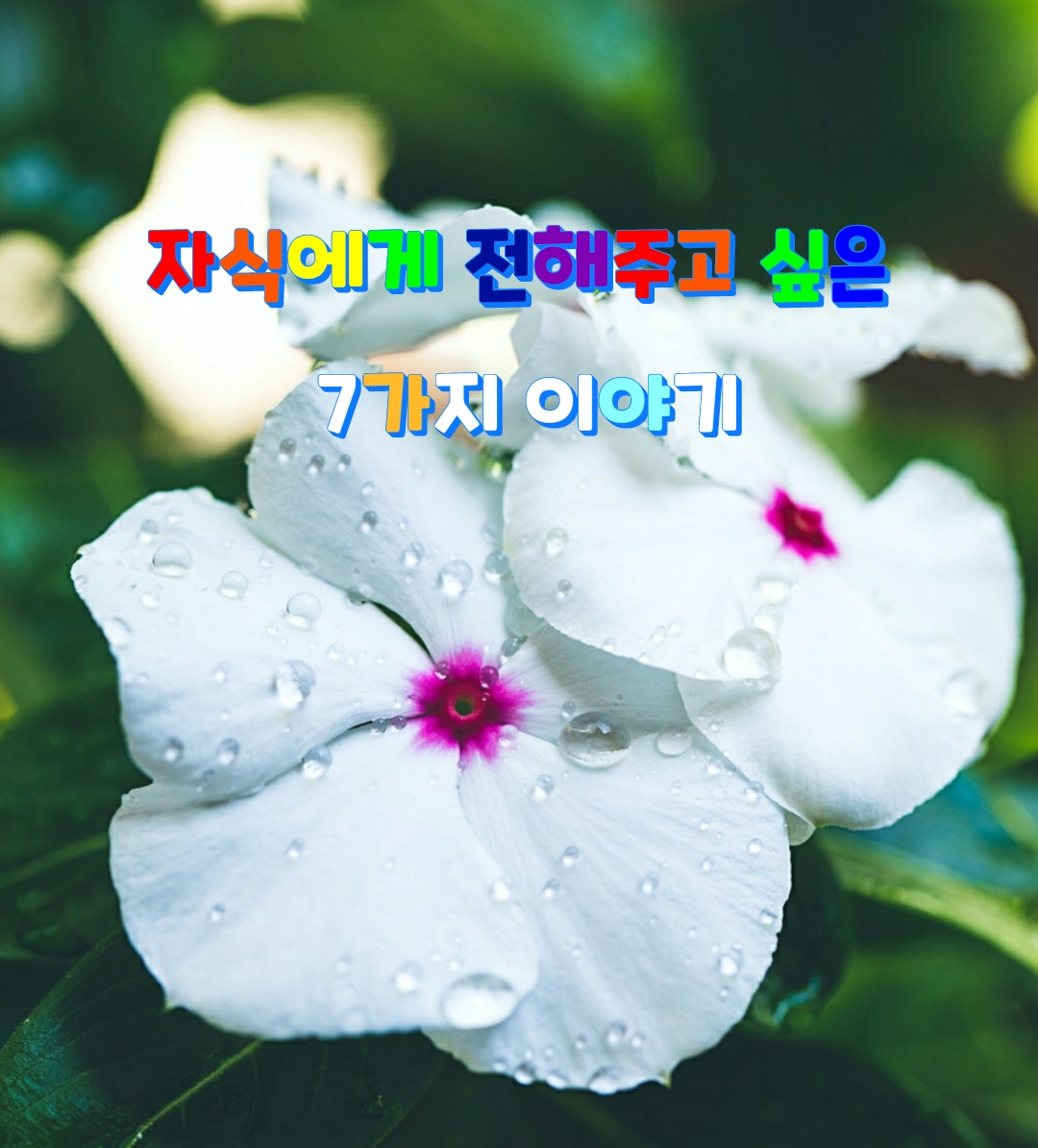  자식에게 전해주고 싶은 7가지 이야기