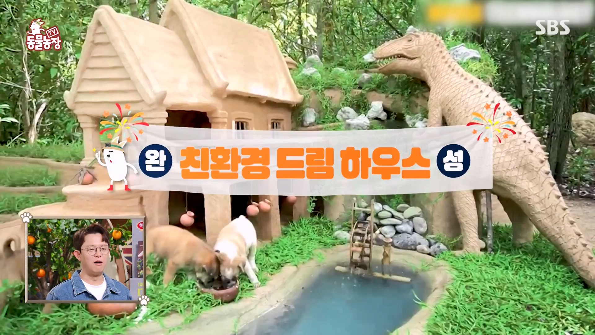 TV 동물농장.E1164.240324p-NEXT.mp4_20240324_172332.333.jpg