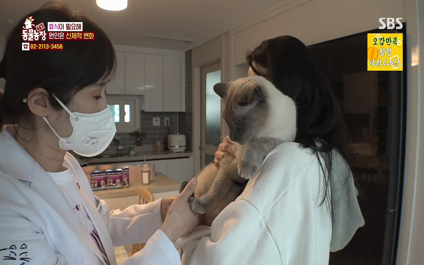 TV 동물농장.E1067.220501p.H264-F1RST.mp4_20220501_185010.698.jpg