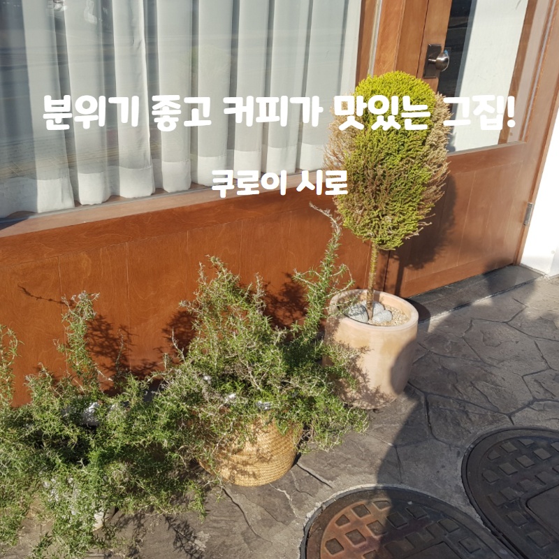  이런곳은 처음이다! 분위기 좋고 맛도있는 수원 카페! 쿠로이 시로!