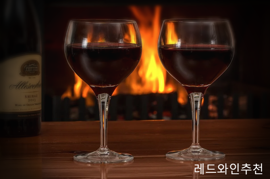  이마트 홈플러스 롯데마트 코스트코 레드와인추천 그리고 와인안주로 좋은것