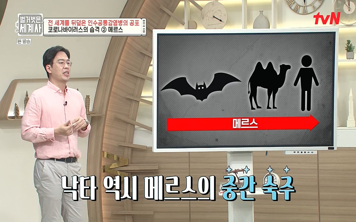 벌거벗은 세계사.E59.220810p-NEXT.mp4_20220810_212438.235.jpg