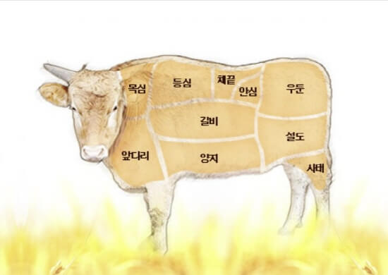  소고기와 돼지고기의 차이점은? 영양성분 및 가격 차이가 나는 이유