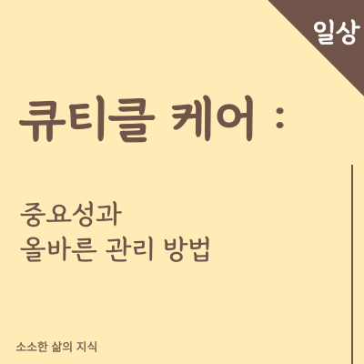 큐티클 케어 중요성과 올바른 관리 방법