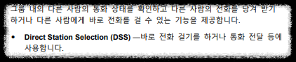 DSS 설명