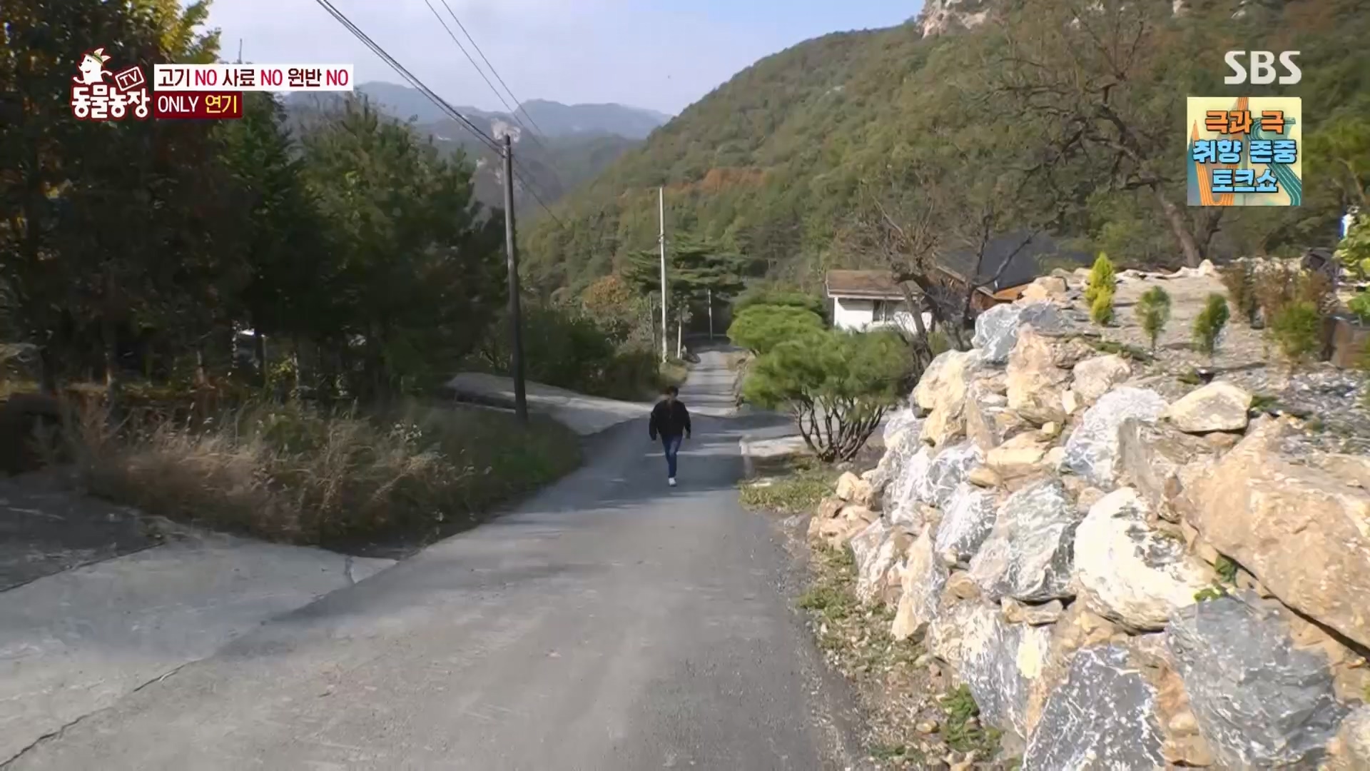 TV 동물농장.E1148.231203p.H264-F1RST.mp4_20231203_165829.049.jpg