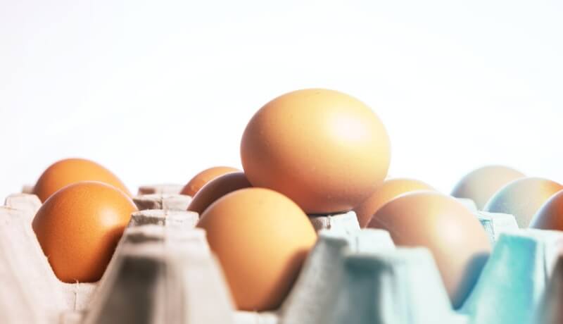 계란판-담긴-달걀