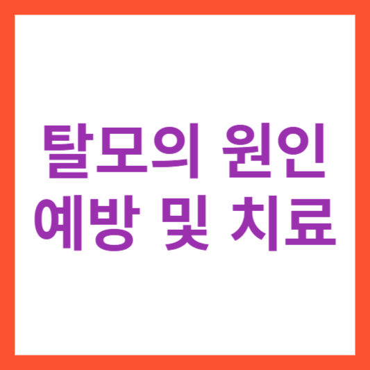 탈모의 원인&#44; 예방&#44; 치료