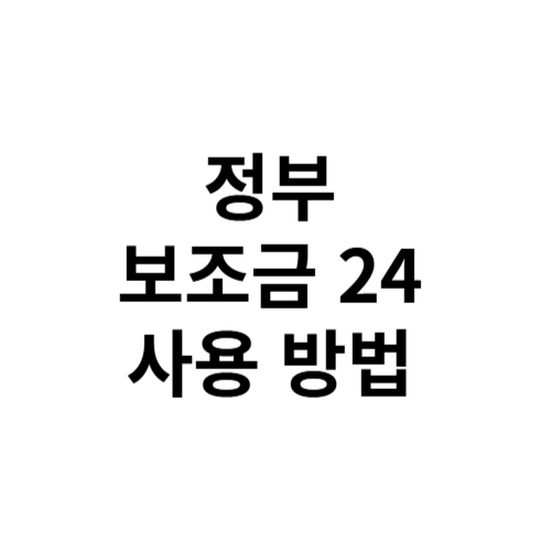 정부 보조금 24 사용 방법