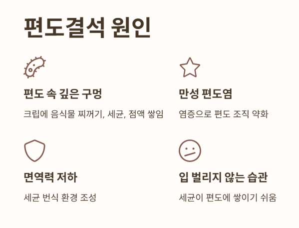 편도결석 원인