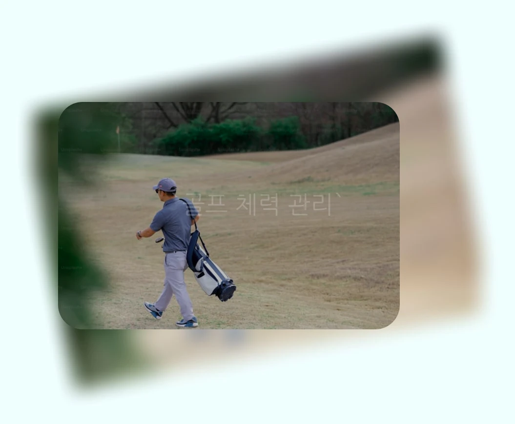 골프 체력 관리_1_subsection