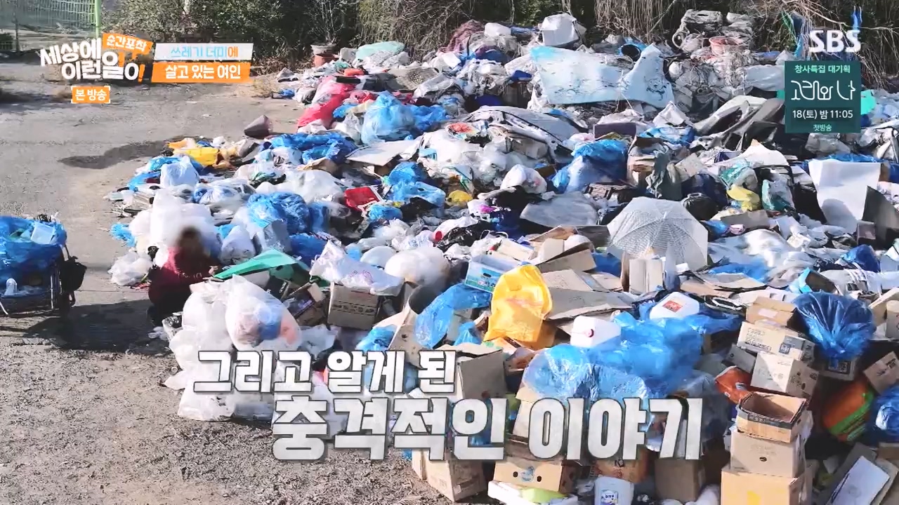 순간포착 세상에 이런일이.E1252.231112p-NEXT.mp4_20231112_170306.030.jpg