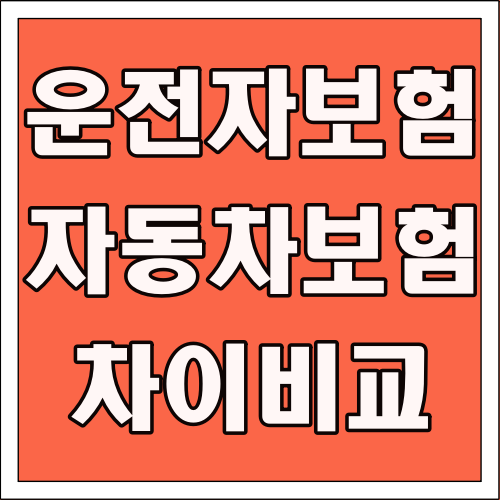 운전자보험 자동차보험 차이 비교 글씨 썸네일