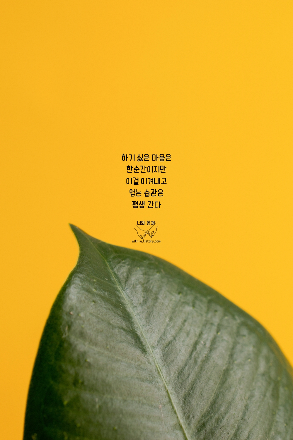  습관 명언 : 짧고 좋은 글귀 : 짧은 명언