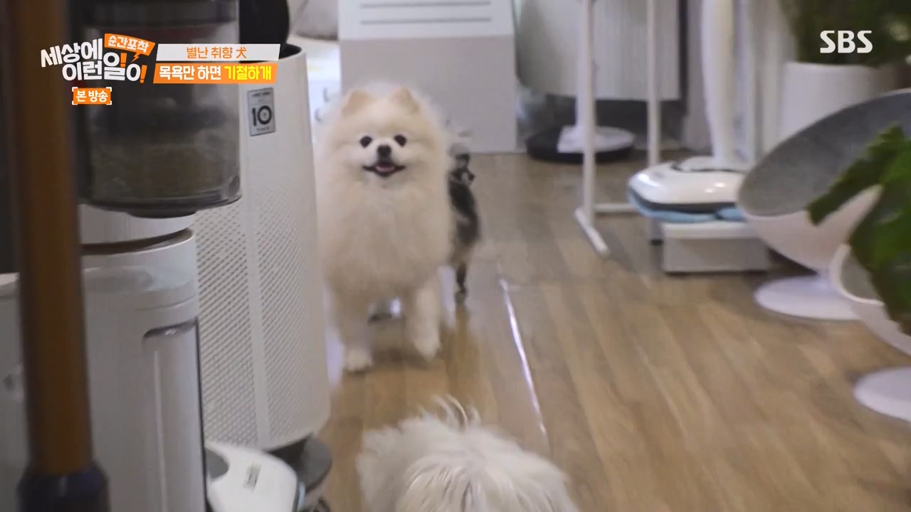 순간포착 세상에 이런일이.E1253.231126p-NEXT.mp4_20231126_160759.253.jpg