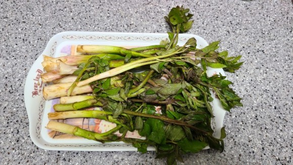 - 오가피 삼겹살말이 봄 야채 오가피 요리 14