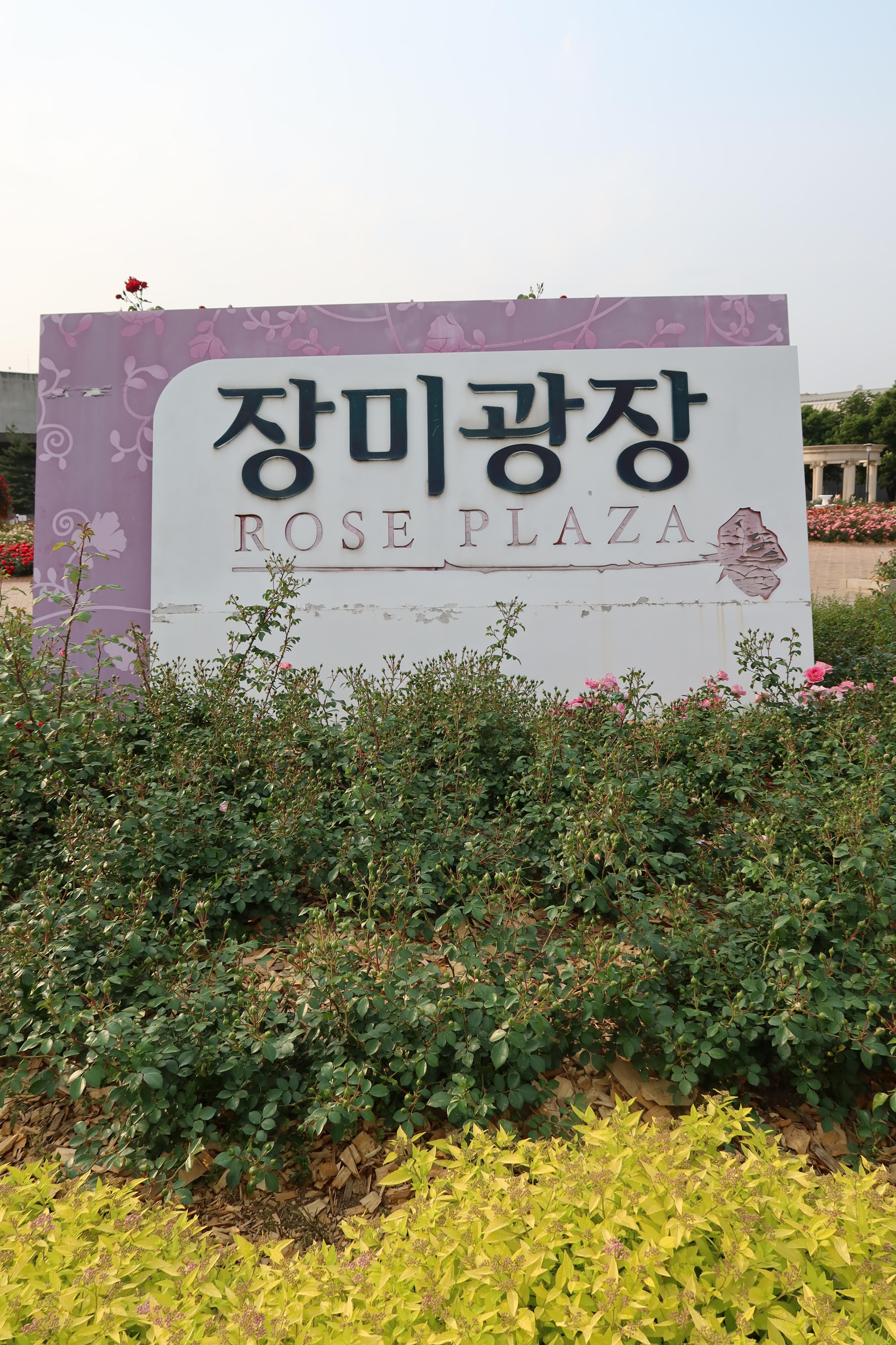 야화노래광장 이미지