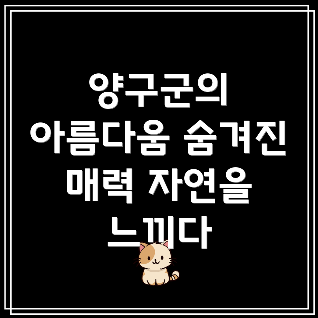 양구군 해안면
