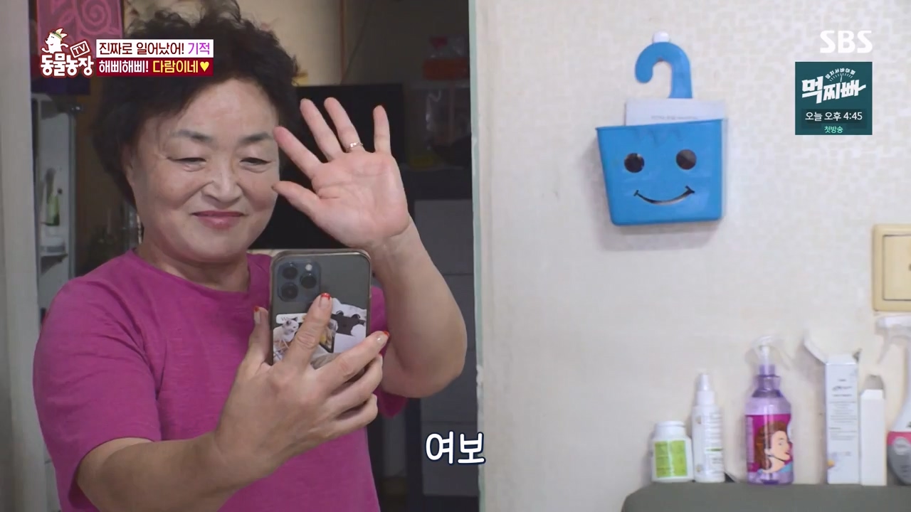 TV 동물농장.E1140.231009p-NEXT.mp4_20231008_174822.561.jpg