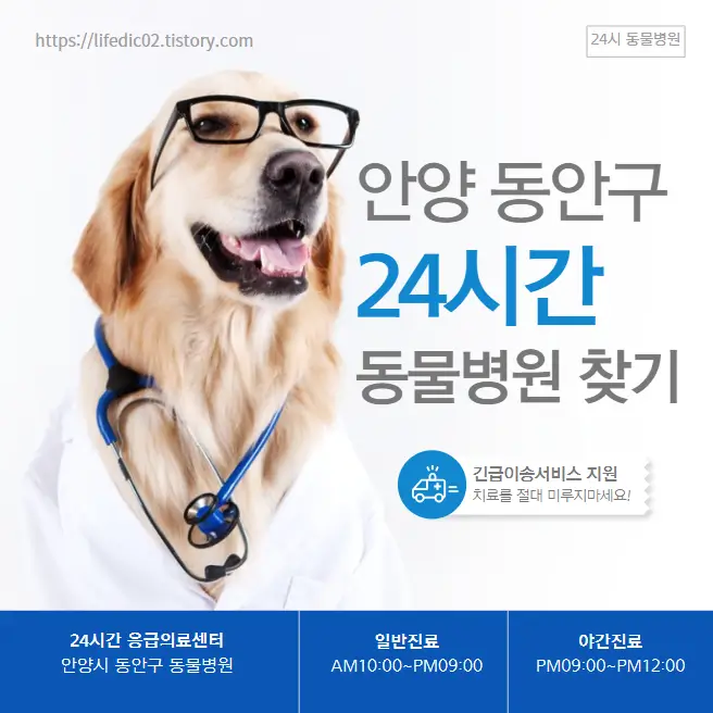  안양 동안구 24시간 동물병원 근처 야간 일요일 고양이 병원 찾기