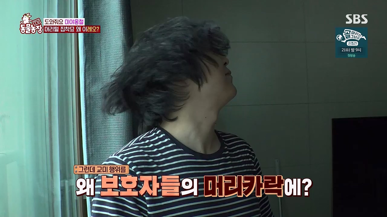 TV 동물농장 1189화 다시보기.ts_20240922_161943.277.jpg