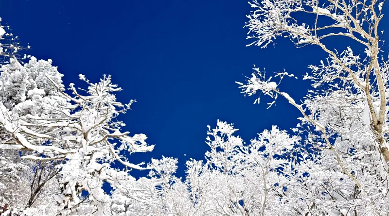 지리산 설경 상고대