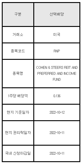 미국주식 선택배당 안내 RNP