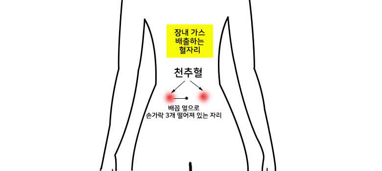 꼬르륵 소리 원인 및 배에서 꼬르륵 소리 안나는법 꼬르륵 소리 원인 및 배에서 꼬르륵 소리 안나는법