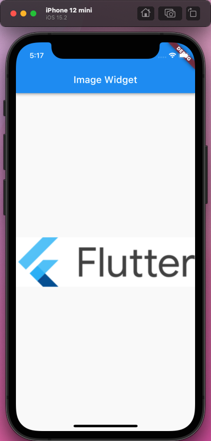 [Flutter] Adding Image to Flutter Application