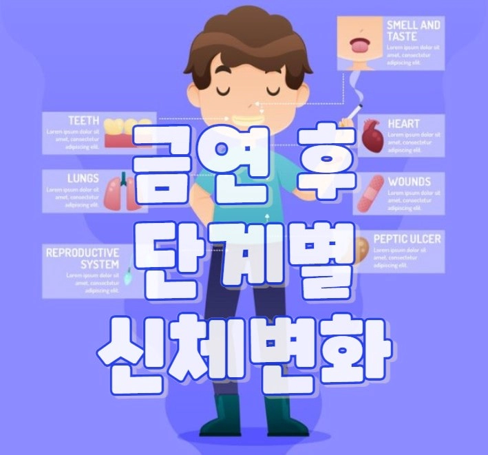 금연 후 단계별 신체변화