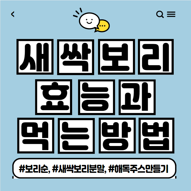  새싹보리 효능과 부작용 그리고 먹는법