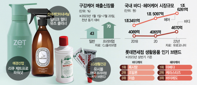 사치 이미지