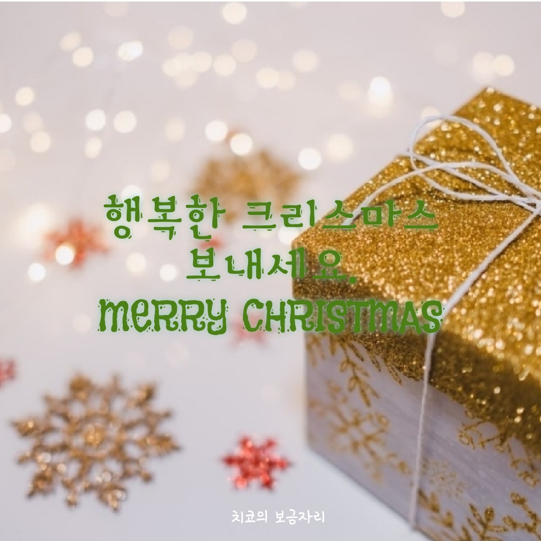  크리스마스 잘 보내세요 Merry Christmas!