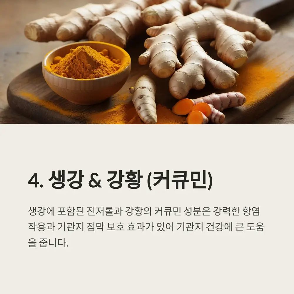 기관지에 좋은 음식과 영양제 정보 소개