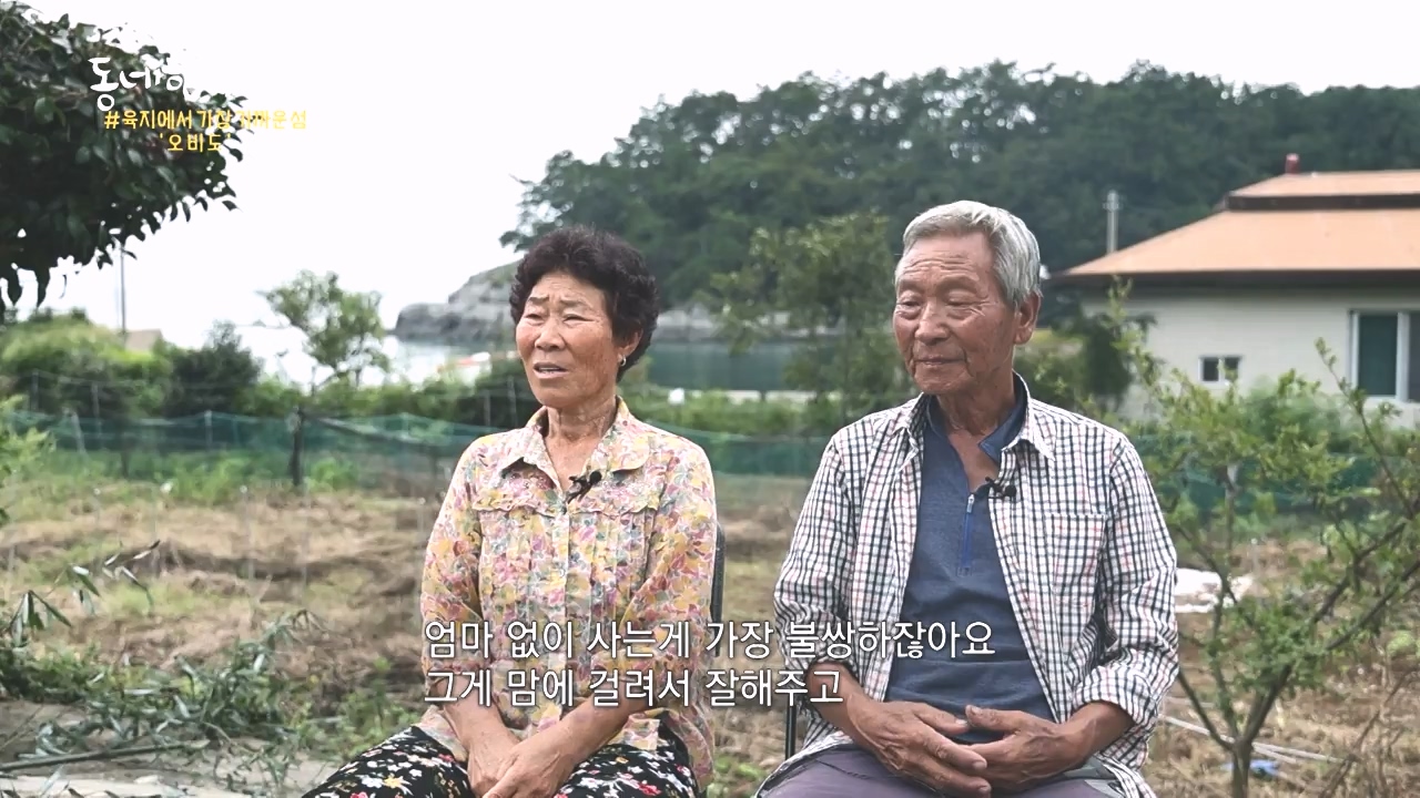 동네 한 바퀴.E243.231015p-NEXT.mp4_20231015_184200.125.jpg