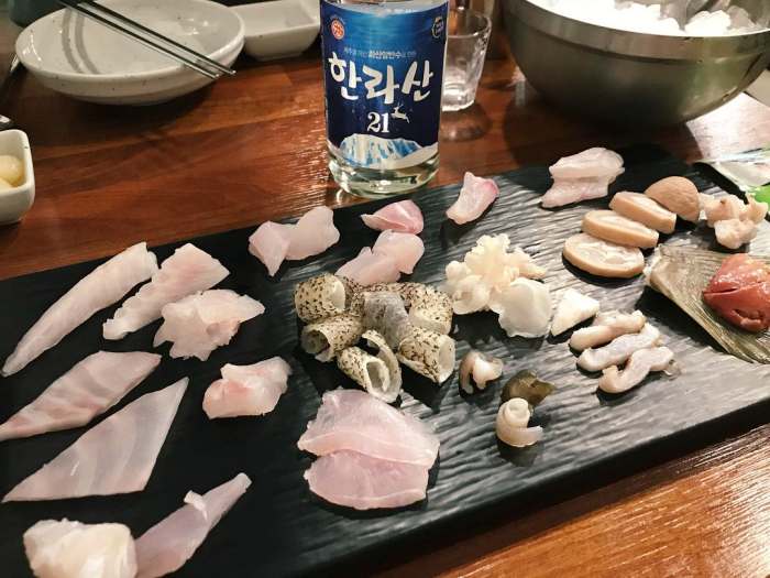 모닝와이드 제주 서귀포 벵에돔 하루 전 예약 어종 선택 오마카세 다금바리 돌돔 참돔 맛집 추천