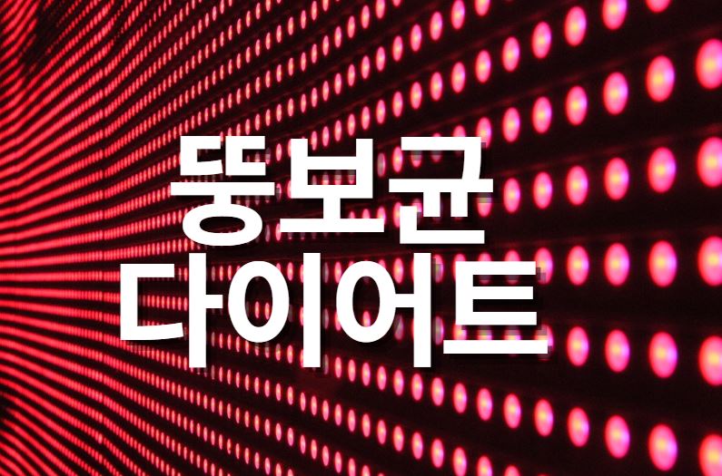  뚱보균 없애고 다이어트 하자