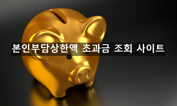  본인부담상한액 초과금 조회 사이트