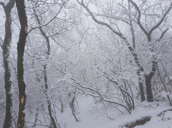 겨울산의 매력