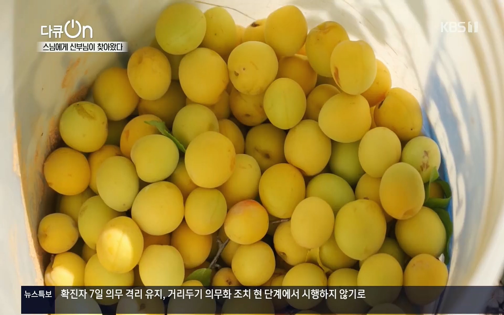 다큐 On.E148.220715p.H264-F1RST.mp4_20220717_131426.648.jpg