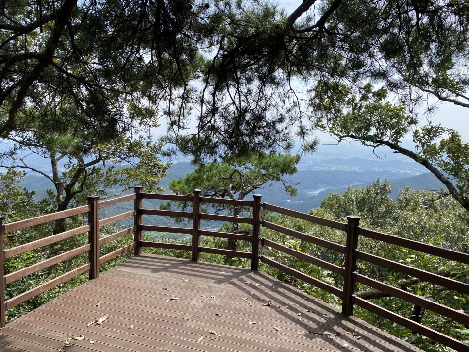 홍길동이 다녀간 25