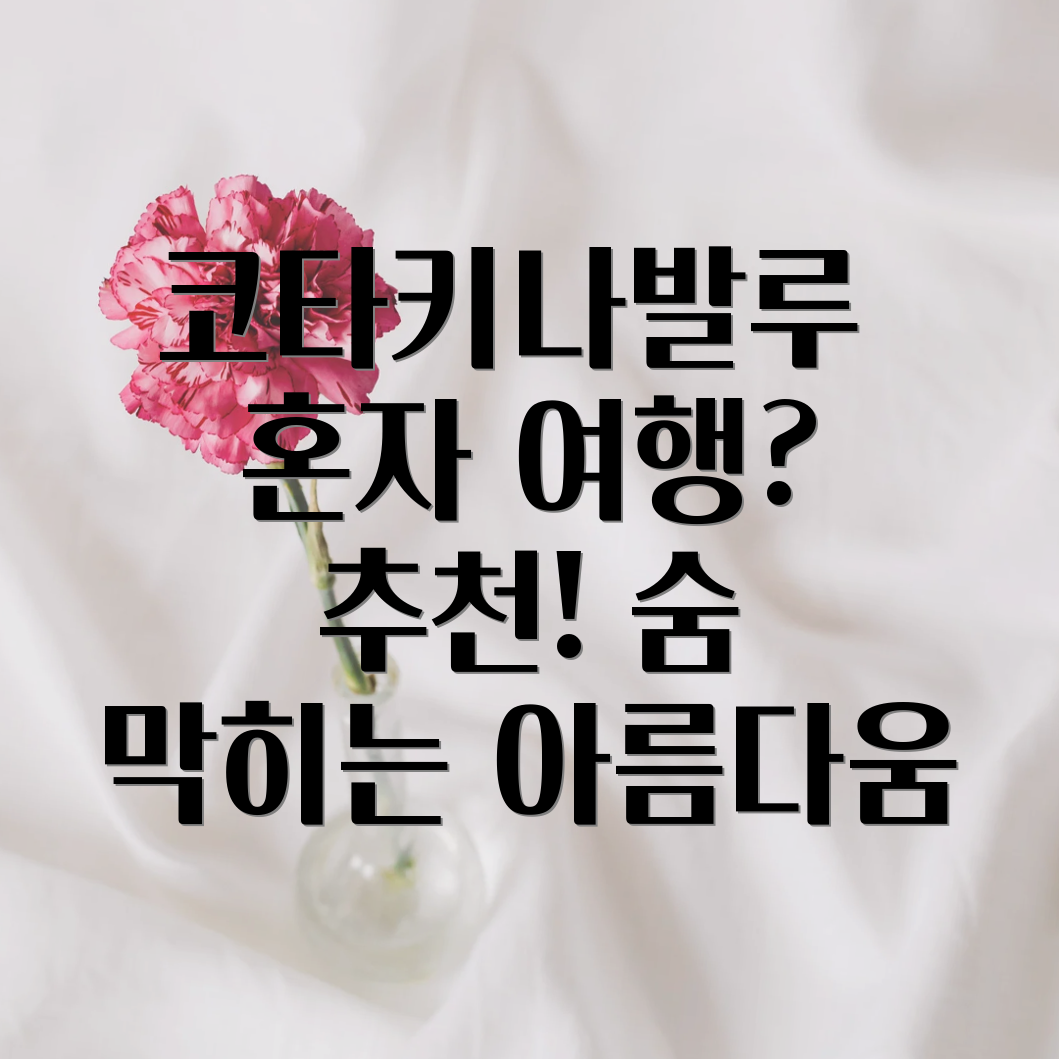 코타키나발루 혼자 여행 패키지