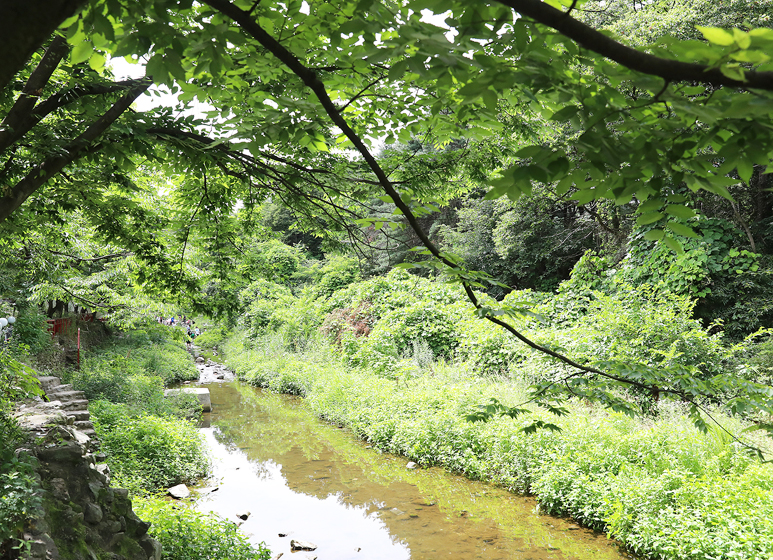 478 용인 고기리 계곡 카페 4