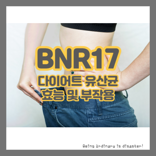 BNR17-유산균-효능-부작용