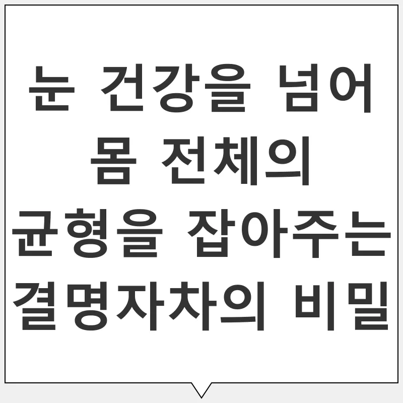 결명자차 효능_1