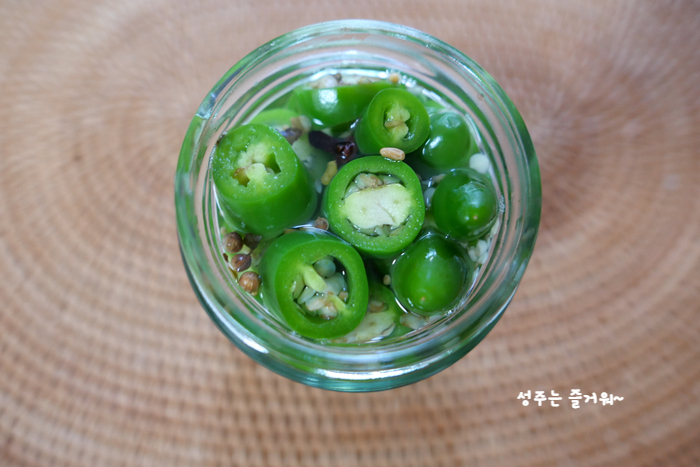 아파트 정원작물 할라페노 고추 재배, 고추씨 심기, 묘목 심기, 수확, 피클 만들기