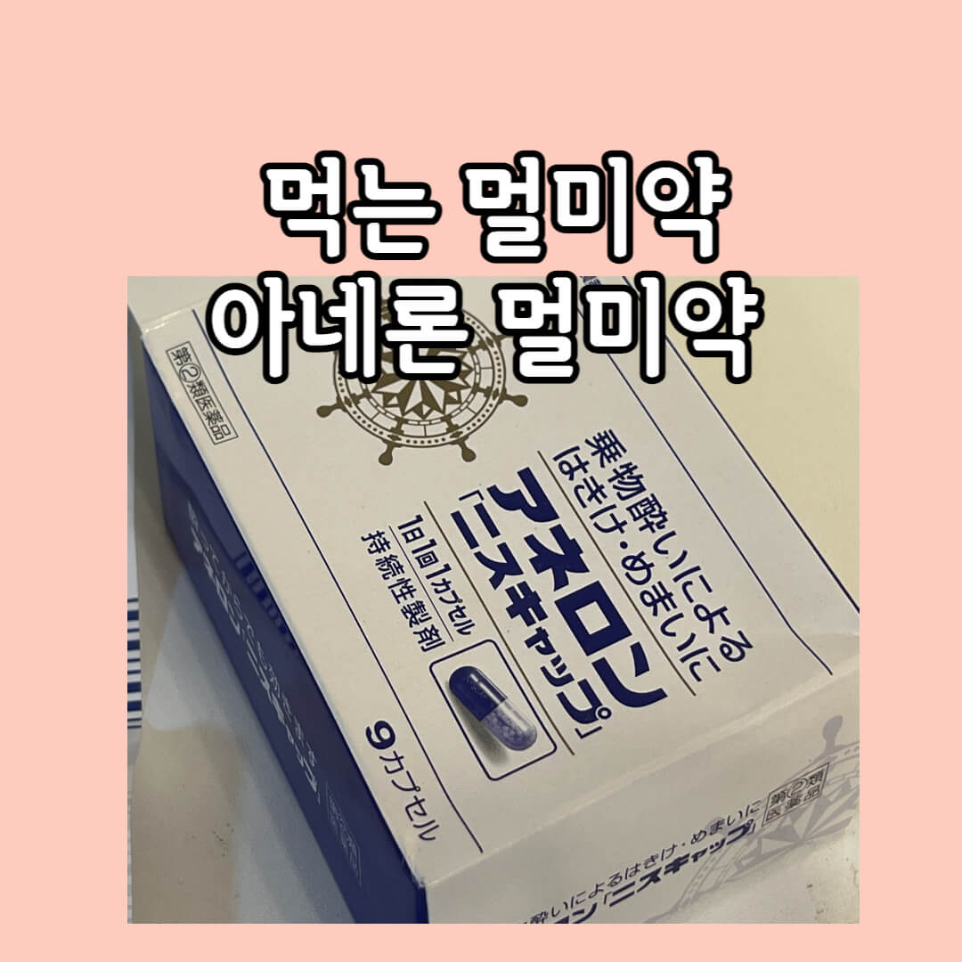  배멀미 편안하게 아네론멀미약 먹는멀미약